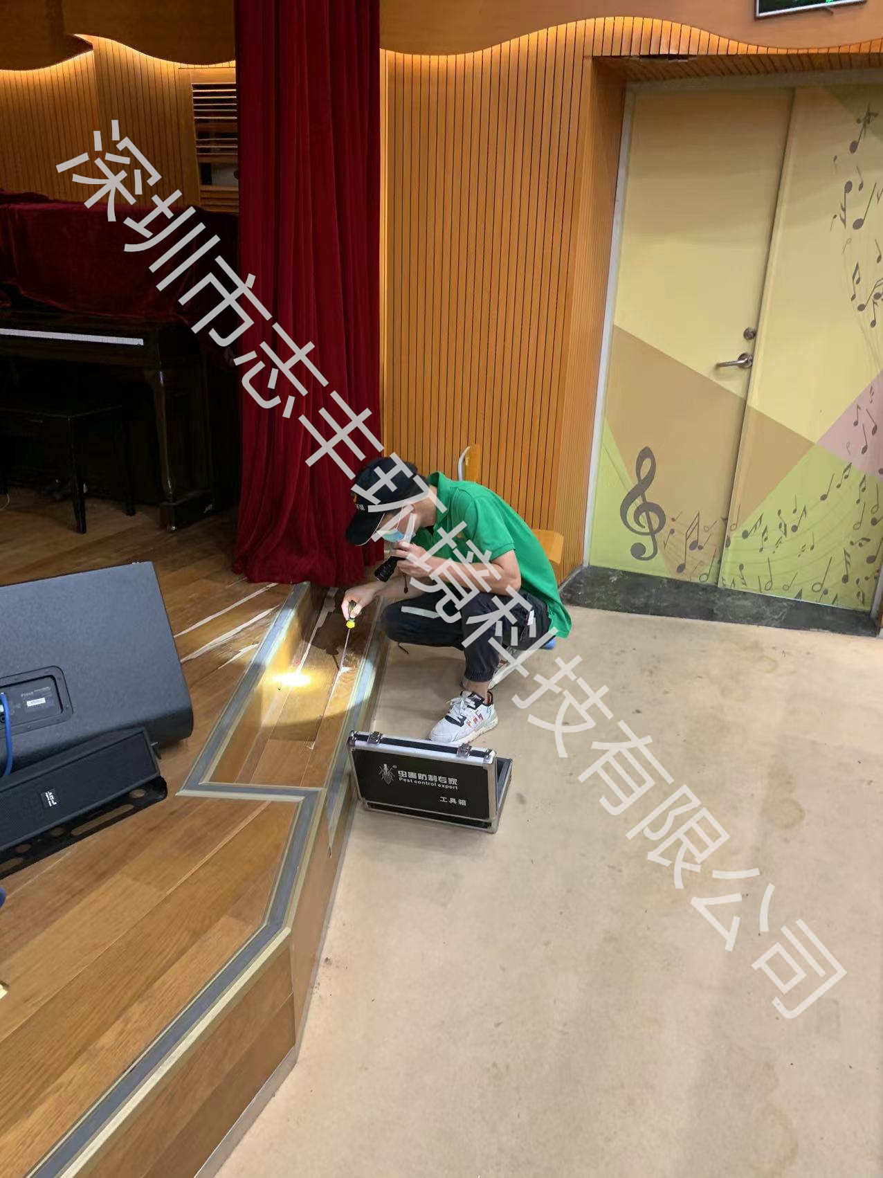 深圳家庭別墅怎么樣有效的防治白蟻.jpg
