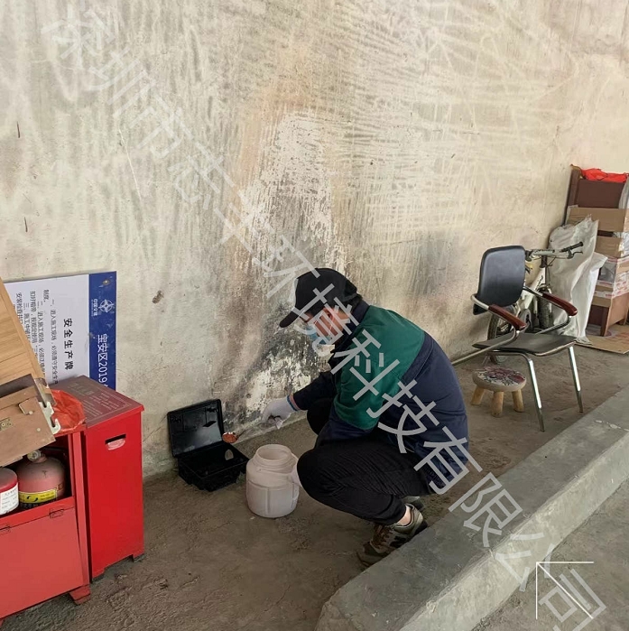 為什么深圳物業(yè)要把四害防治看的如此重要？圖一